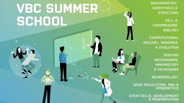 FULLY FUNDED TO AUSTRIA WITH STIPENDS: Apply to the Vienna Biocenter Summer School 2025