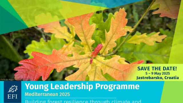 PARTIALLY FUNDED TO CROATIA:   Apply for the Young Leadership Programme Mediterranean 2025 for young professionals