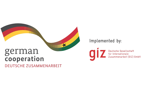 PAID INTERNSHIP: GIZ is looking for a Communications Intern for their Study Abroad Programmes in Accra