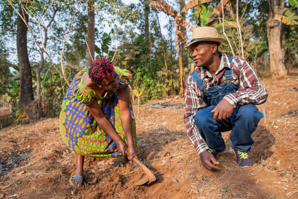 Two African farmers hoe the fields and have a conversation, agriculture in Africa