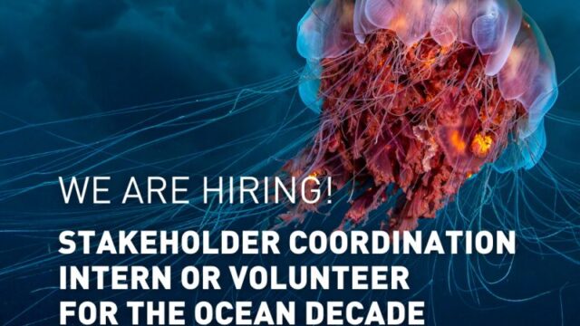 Internship/ Volunteer Opportunity: Join the United Nations Ocean Decade as a Stakeholder Coordination Intern or Volunteer