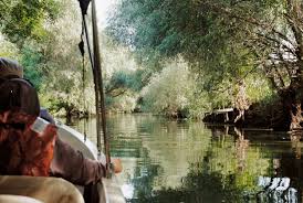 With a Stipend of $3000  : Apply for the River Delta Communities Fellowship