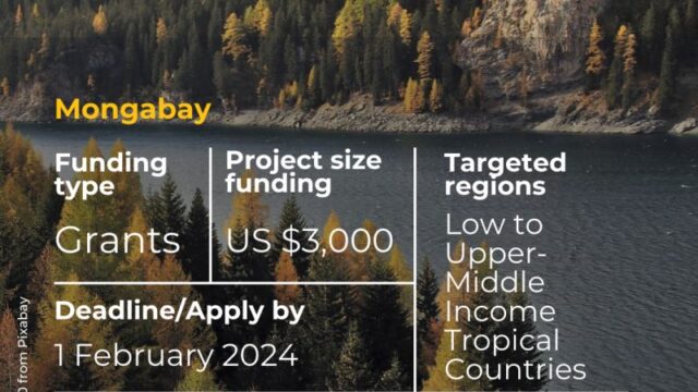 With a stipend of $3,000 USD : Join The Y. Eva Tan Conservation Reporting Fellowship – Remote 