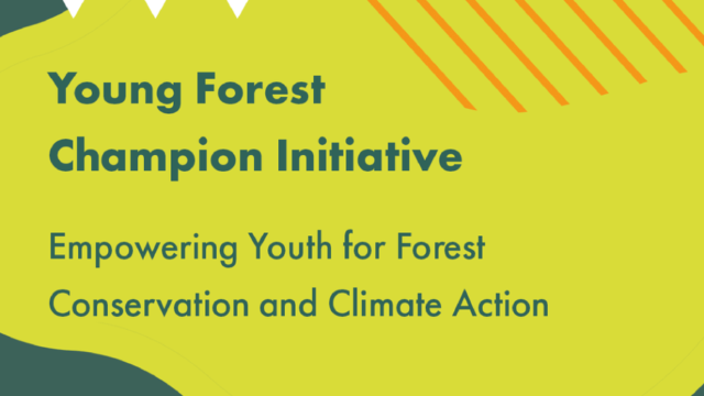 Join the Food and Agriculture Organization of the United Nations Young Forest Champions Initiative