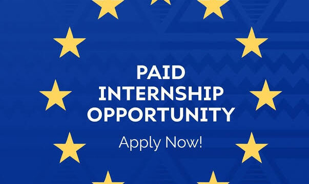 PAID TRAINEESHIP: Apply for the European Union’s Funded traineeship for young graduates at the EU Delegation to Botswana and SADC region