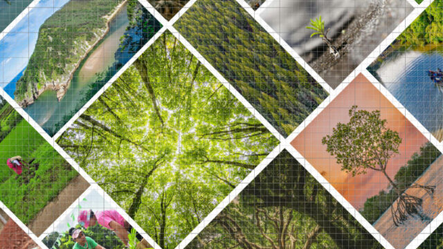 Funding : Be part of the Innovative Climate with-Biodiversity Positive Program 2025