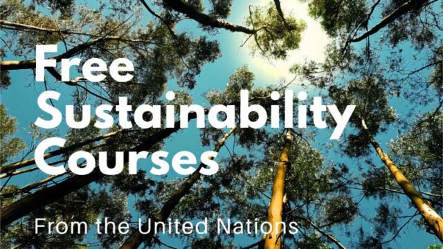 Free Sustainability Courses by United Nations – Apply now