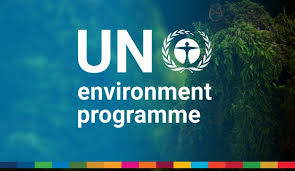 GLOBAL INTERNSHIP : Join United Nations Environment Programme (UNEP) as a Programme Support Intern!