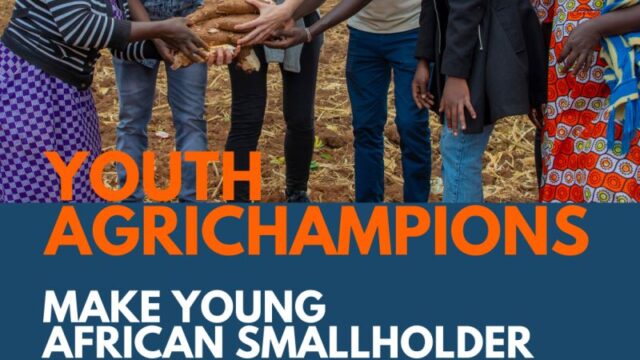 Apply for the Ban Ki-moon Centre for Global Citizens (BKMC) 4th edition Youth AgriChampions – a Peer2Peer workshop