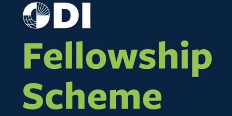 Overseas-Development-Institute-ODI-Fellowship-Scheme-2024-2026-768×461-1-750×375