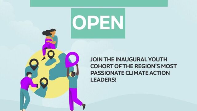 Apply for the Plastic Free Foundation fellowship