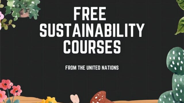 10 Free Sustainability Courses by the United Nations – Apply now