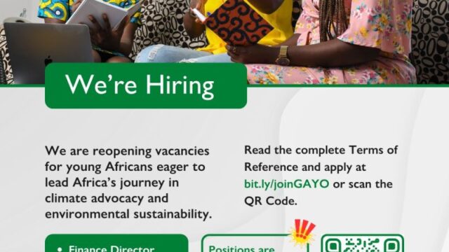 Job Opportunities : Green Africa Youth Organization (GAYO) is hiring in 4 positions – Check them out