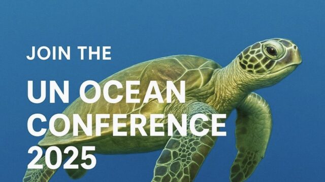 BADGES: Join the Official Youth Loves Egypt Foundation Delegation to the UN Ocean Conference 2025 in France