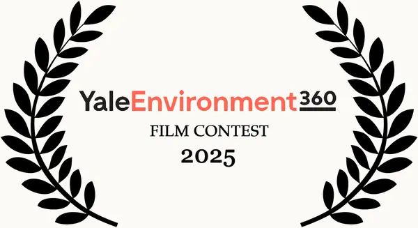 Prize $3,000 : Join the Yale Environment 360 Film Contest 2025 