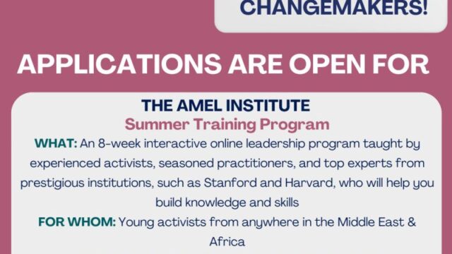 Apply now AMEL Institute 2025