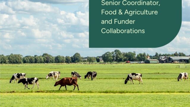 Remote Job Opportunity : ClimateWorks Foundation is hiring a Senior Coordinator – Food & Agriculture and Funder Engagement