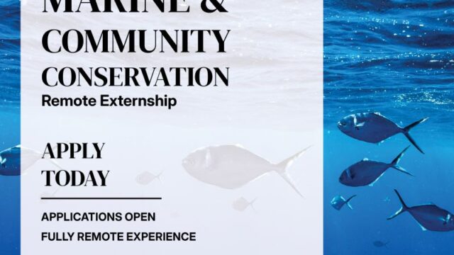 Remote Paid Opportunity : Apply to the Summer 2025 National Geographic Society & The Nature Conservancy Freshwater and Community Conservation Externship