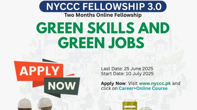 Apply for the NYCCC Fellowship 3.0