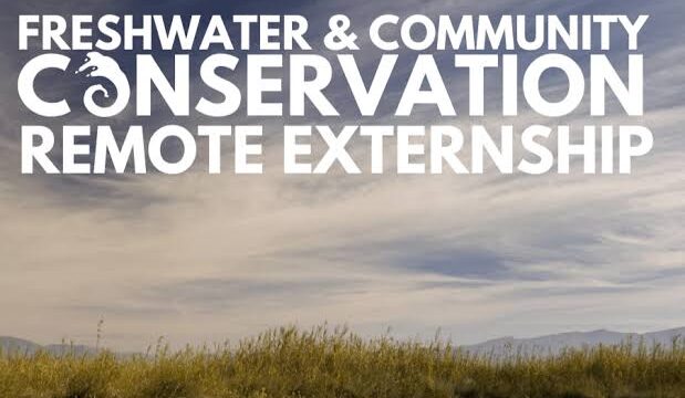 PAID FELLOWSHIP: Apply for the National Geographic and The Nature Conservancy Externship Program 2025 for young changemakers