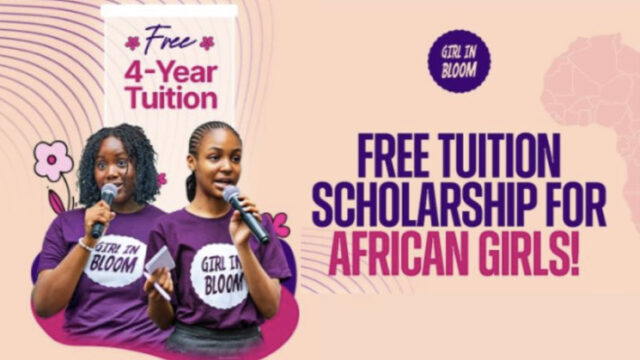 Apply now for the Bloom Scholars Program 2025 For Africans | $500 Award