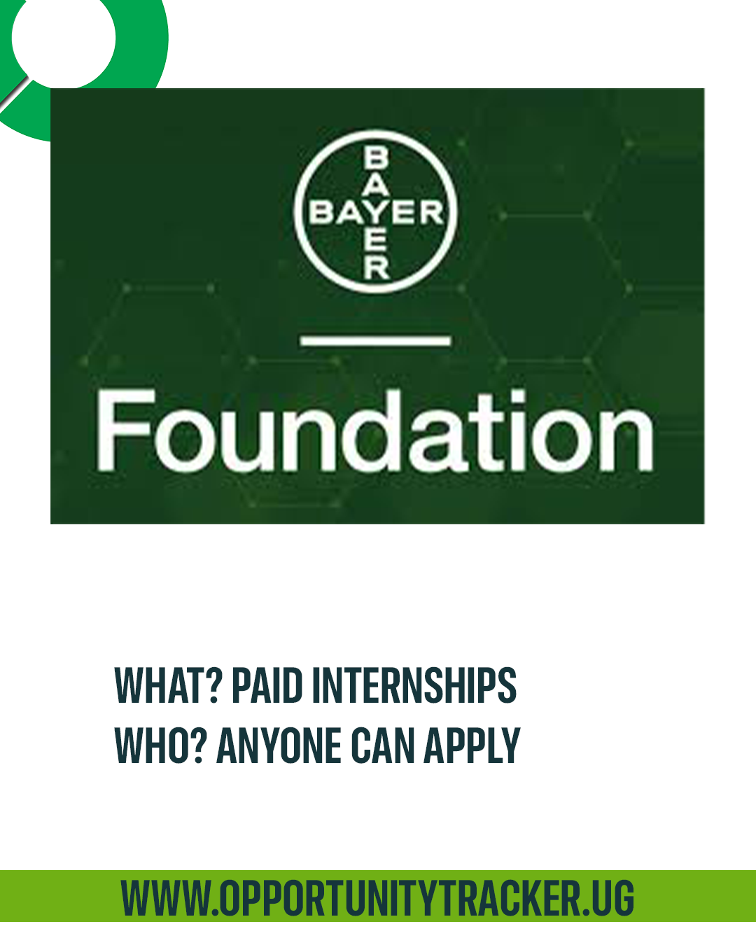 Paid Internships : Check out these 2 internship positions at Bayer ...
