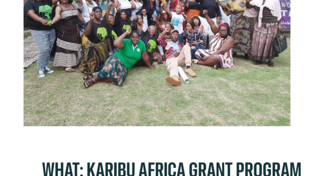 Applications are open for the Karibu Africa Grant Program 