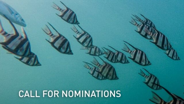 Nominations Are Open To Join The UN Ocean Decade Advisory  Board 2026–2027