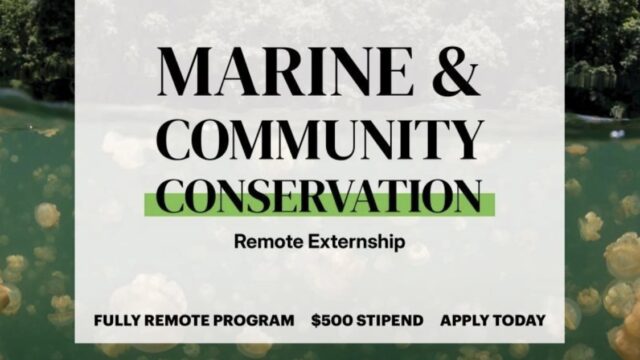 PAID FELLOWSHIP: Apply for the National Geographic Society and the Nature Conservancy Marine and Community Conservation Externship for Young Changemakers