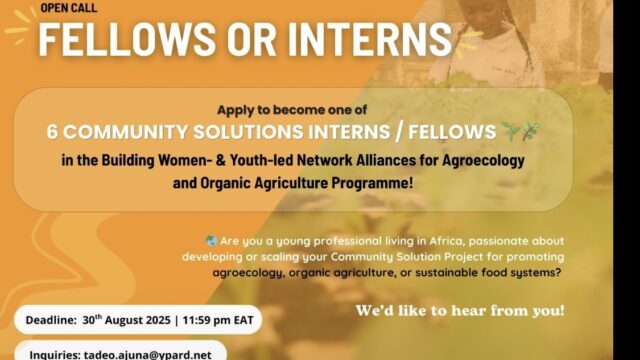 PAID FELLOWSHIP: Apply for YPARDS’ Community Projects Programme for young changemakers