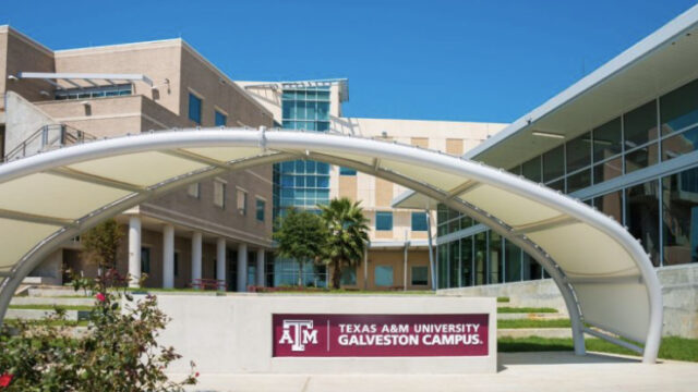 Fully Funded to USA!! Apply now to the Texas A&M University Chancellors Fellowship.