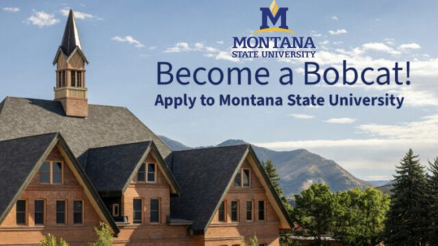 Fully Funded to USA!! Apply now for the Montana State University Scholarship 2026