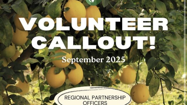 REMOTE VOLUNTEER ROLE WITH STIPENDS: GreenCheck is looking for remote Regional Partnerships Officers