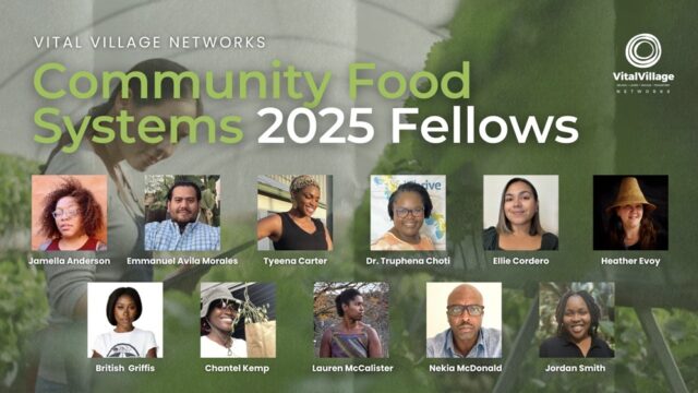 FULLY FUNDED: Apply for the Community Food Systems Fellowship 2026 (Vital Village)