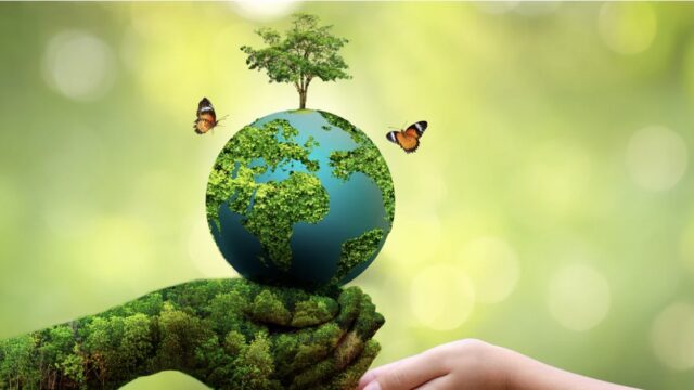 FULLY FUNDED: Apply for the 2026 Environmental Fellows Program (EFP) at Yale School of the Environment