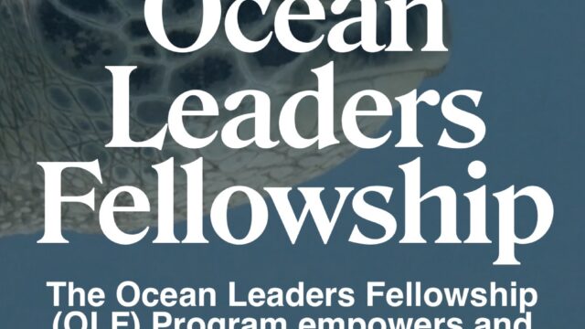 FULLY FUNDED: Apply for the Ocean Leaders Fellowship 2026 by Sustainable Ocean Alliance For Global Changemakers