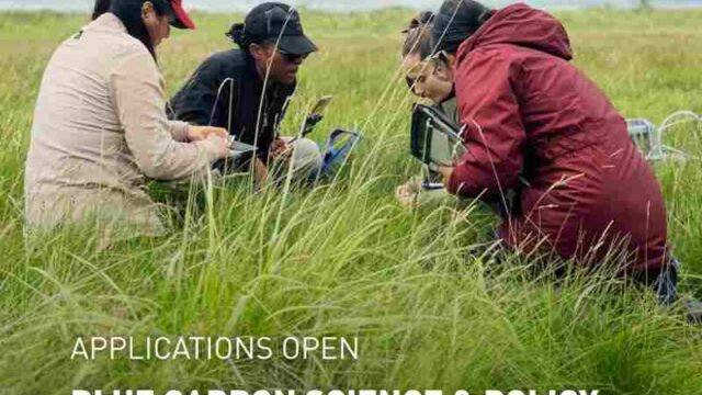 FULLY FUNDED SCHOLARSHIPS AVAILABLE : Apply for the Blue Carbon Science & Policy Summer Programme 2026 