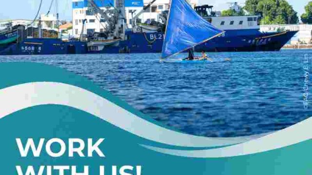 JOB OPPORTUNITIES : FAO is hiring in several positions – Apply now