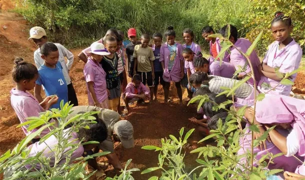 Up to USD 5,000 : Apply for the WWF – Russell E. Train Education for Nature (EFN) Alumni Grants 2026