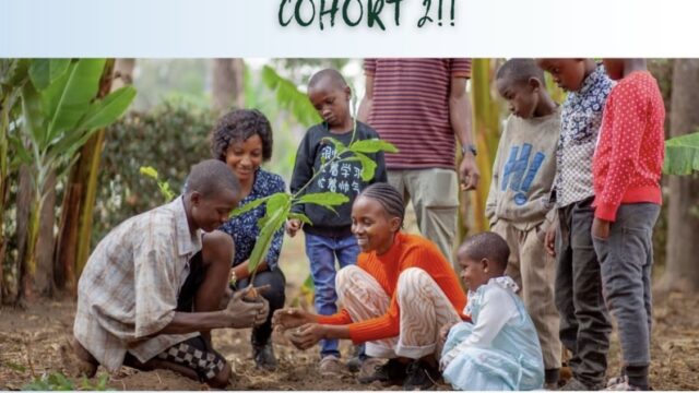 PAID FELLOWSHIP: Apply for the Climate Hub 2026 Wangari Maathai Fellowship for young Tanzanian Changemakers