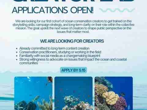 FULLY VIRTUAL : Apply for the FutureSwell Creator Lab 2026 for Ocean Climate Storytellers