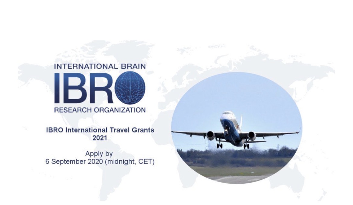FULLY FUNDED:Apply For The IBRO Neuroscience Training Grants 2026 ...