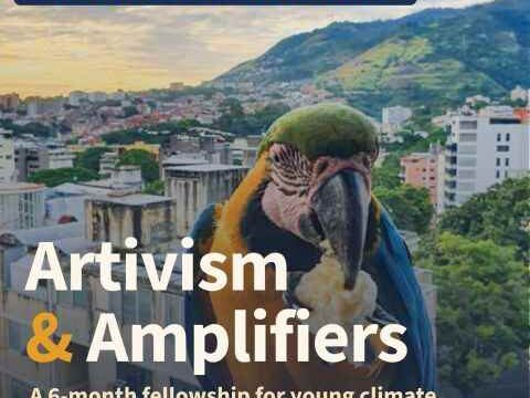 VIRTUAL PAID : Apply for the Human Impacts Institute 2026 Artivism & Amplifiers Fellowship