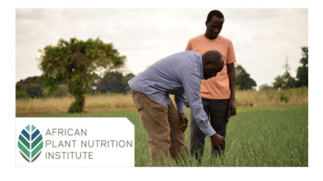 FULLY FUNDED: Apply For The APNI Young African Phosphorus Fellowship 2026 for Early-Career Scientists
