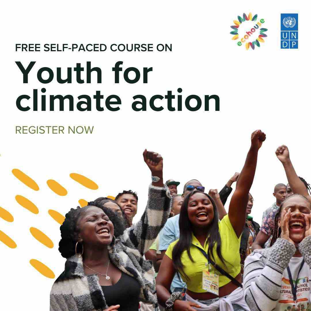 Youth for Climate Action Online Course 2026 (Free UNDP Climate ...