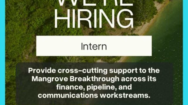 REMOTE & PAID : Apply for the Mangrove Breakthrough Internship 2026 – Global Opportunity in Climate and Nature Finance