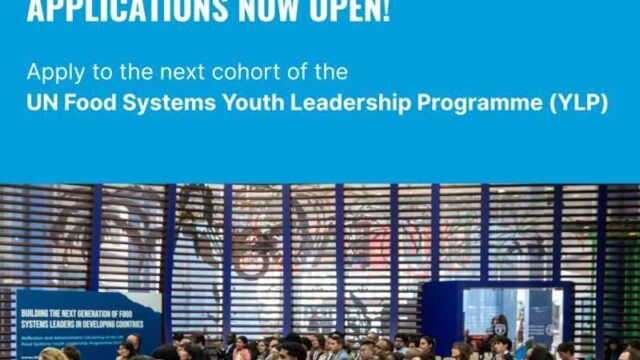 Apply for the UN Food Systems Youth Leadership Programme 2026