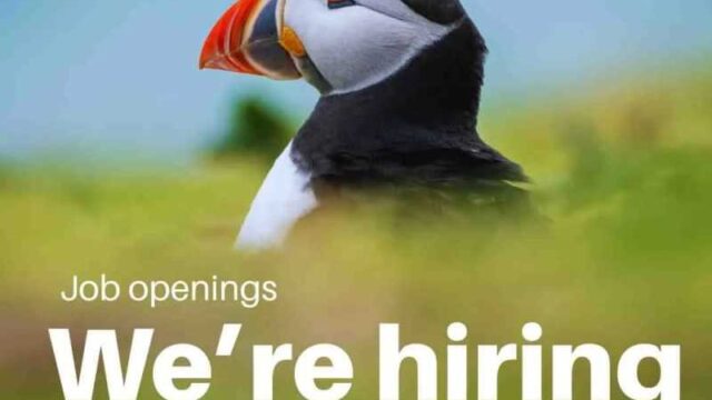 JOB OPPORTUNITIES : United Nations Environment Programme (UNEP) is hiring in 56 positions ,check them out
