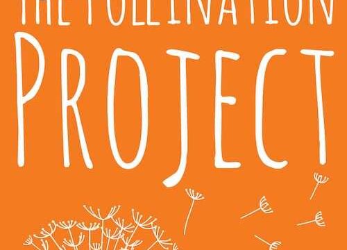 FUNDING : Apply for the Pollination Project Seed Grants 2026  for Grassroots Changemakers Worldwide