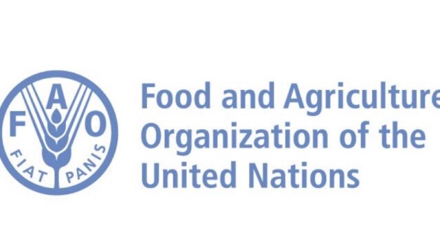 FULLY FUNDED: Join the FAO Science, Technology and Innovation (STI) Network